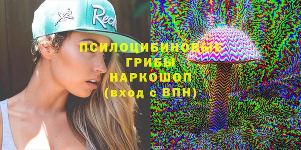 мяу мяу мука Белокуриха