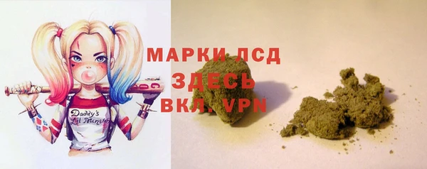 мяу мяу мука Белокуриха