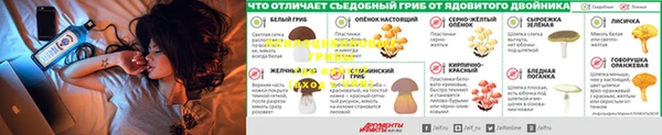 соль ск Беломорск