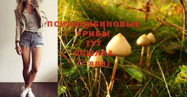мяу мяу мука Белокуриха