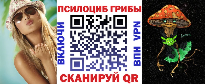Галлюциногенные грибы Magic Shrooms  купить   blacksprut ССЫЛКА  Волчанск 